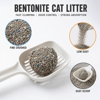 Litière pour chat en bentonite à granulométrie mixte, texture uniforme, sans poussière, forte adsorption, consommables de nettoyage pour chats domestiques
