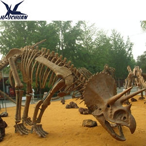Intérieur Extérieur Musée Fossile Décoration Répliques <span class=keywords><strong>de</strong></span> <span class=keywords><strong>Squelette</strong></span> <span class=keywords><strong>de</strong></span> <span class=keywords><strong>Dinosaure</strong></span> Triceratops en Fibre <span class=keywords><strong>de</strong></span> Verre Grandeur Nature - Product Image 5