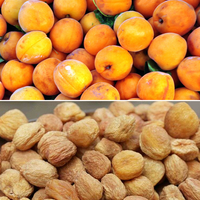 Sécheur de fruits à bande en maille automatique en acier inoxydable personnalisé, déshydrateur alimentaire, machine à sécher les abricots, les prunes, les pruneaux
