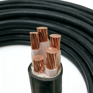 Kabel Daya <span class=keywords><strong>2</strong></span> Inti YJV Standar Nasional Inti Tembaga Bebas Oksigen PVC Tahan Api untuk Penggunaan Rumah & Teknik - Product Image 1