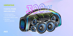 Altavoz Karaoke Portátil HOPESTAR A65 Original con Micrófono, 300w de Alta Potencia, Resistente al Agua, con Micrófono y Bluetooth - Product Image 3