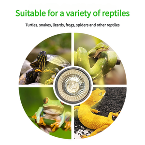 Fournisseurs d'aquarium <span class=keywords><strong>Support</strong></span> de <span class=keywords><strong>lampe</strong></span> de bain de soleil <span class=keywords><strong>Tortue</strong></span> Clip de <span class=keywords><strong>lampe</strong></span> <span class=keywords><strong>chauffante</strong></span> UVA <span class=keywords><strong>Support</strong></span> de <span class=keywords><strong>lampe</strong></span> universel Clip LED UVB Accessoires de réglage - Product Image 3