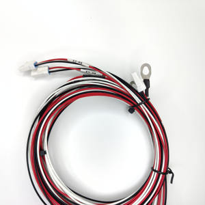 Pil kablosu montaj özelleştirilmiş otomatik kablo demeti güneş pili jst <span class=keywords><strong>2</strong></span> pinli konnektör enerji depolama kablo demeti - Product Image 5