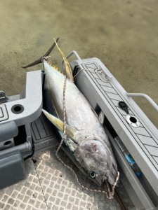 Yate Rápido <span class=keywords><strong>de</strong></span> Aluminio <span class=keywords><strong>de</strong></span> 5.8 Metros Bote <span class=keywords><strong>de</strong></span> Pesca con Consola Central y Techo Rígido - Product Image 3