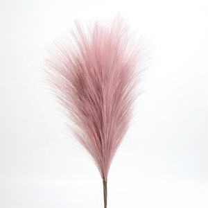 <span class=keywords><strong>Tige</strong></span> de pampas <span class=keywords><strong>artificielle</strong></span> rose Sunwing pour la décoration intérieure, roseau artificiel moelleux pour Noël, fête des mères, nouvel an, fête des pères - Product Image 1