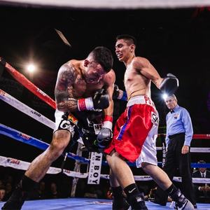 Ride <span class=keywords><strong>Force</strong></span> Kick boxe gants hommes femmes PU karaté Muay Thai Guantes De Boxeo Free Fight MMA Sanda formation adultes enfants équipement - Product Image 2