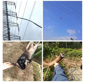 Machine de suppression d'obstacles <span class=keywords><strong>laser</strong></span> à fibre 100W 300W 500W 1000W Machine de suppression d'objets étrangers à distance <span class=keywords><strong>laser</strong></span> - Product Image 2