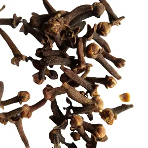 Gewürze CLOVE Blume lose Großhandel natürliche rohe getrocknete Nelke Blütenknospe für Gewürze und Tee