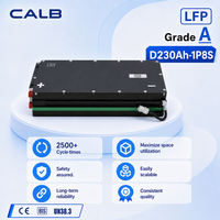 Module CALB D230AH-1P8S 25.6V 230Ah LiFePO4 5.88kWh avec BMS à détection FPC, prêt pour système de batterie de véhicule électrique