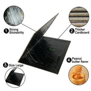 Piège à souris <span class=keywords><strong>ultra</strong></span>-adhésif, coussin de colle, grande surface de couverture, utilisation intérieure et extérieure, résistant aux intempéries, outil de prévention des rongeurs - Product Image 5