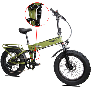 Vélo électrique pliable PASELEC PX6 20 pouces 48V 750W avec pneus larges de 4,0 pouces, freins à disque et porte-bagages arrière - Product Image 1