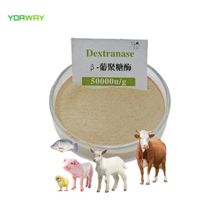 Thức ăn <span class=keywords><strong>Enzyme</strong></span> <span class=keywords><strong>dextranase</strong></span> giảm độ nhớt cho dinh dưỡng động vật phụ gia Beta glucanase <span class=keywords><strong>Enzyme</strong></span> 50000u/g - Product Image 2