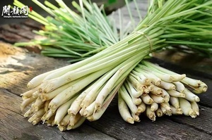 Sả Trà Thảo Dược OEM Trung Quốc Hữu Cơ Tập Thể Dục Khô Cỏ Chanh Thảo Dược Bán Buôn Tự Nhiên Một Lớp Nguyên Sức Khỏe Trà Có Hương Vị Trà - Product Image 5