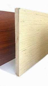 Panneaux de <span class=keywords><strong>contreplaqué</strong></span> en eucalyptus blanc E0 écologique de 18 <span class=keywords><strong>mm</strong></span> pour armoires de restaurant, panneaux mélaminés, panneaux stratifiés - Product Image 2