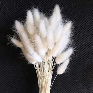 Bouquet de lagure ovale, 60 styles, 50 pièces, pot de fleurs, queue de lapin, herbe pour décoration de mariage - Product Image 2