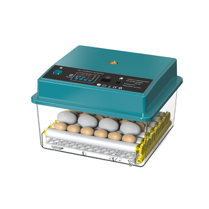 Nouveau design de mini incubateurs et machine à couver de couleur verte 36 œufs de poule <span class=keywords><strong>Couveuse</strong></span> à œufs entièrement <span class=keywords><strong>automatique</strong></span> - Product Image 2