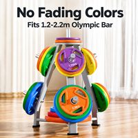 Ensemble de plaques de musculation en fonte colorées avec grand trou pour la musculation à domicile et l'entraînement professionnel à la barre olympique