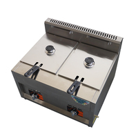 Friteuse professionnelle 6L à double cuve en acier inoxydable à gaz avec panier de friture pour frites, pommes de terre frites et poulet
