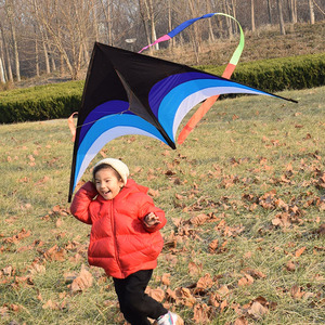 Chất Lượng Cao drachen Lớn Có Thể Gập Lại Dài Đuôi Delta Diều Để Bán Nhà Máy Khuyến Mại Tam Giác Đồ Chơi Polyester Cho Trẻ Em - Product Image 5