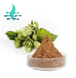 High Quality Hops Flower Extract With Hops Flavonoids 4%~20% Xanthohumol 3%~98% Hops Extract Powder