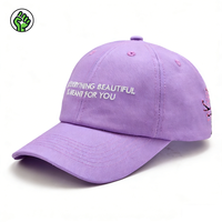 Gorra de Béisbol Unisex de Lona, 100% Algodón, 6 Paneles, con Logotipo Bordado en 3D Personalizado, Deportiva, Urbana, Ajustable, para las 4 Estaciones