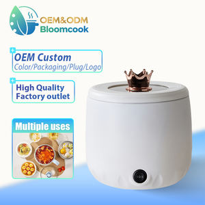 Cuisinière électrique miniature Bloomcook OEM 2025, saine, haut de gamme, chauffage rapide, antiadhésive, portable, pour hôtel et camping-car - Product Image 1