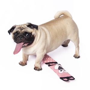 יצרני לעיסה עמיד לועס ישיר הסיטונאי טוב איכות טובה + oxford + פ לחיות מחמד סחוט צעצועים - Product Image 5