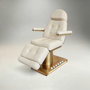 Nueva Camilla de Belleza con Base Metálica, Silla Multifuncional para Tatuajes, Tapicería de Terciopelo y Cuero, Mesa Dental - Product Image 2