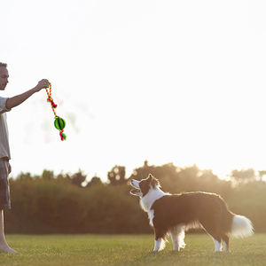Toptan çevre dostu köpek çiğneme ipi oyuncaklar çiğneme lastik top ile dayanıklı örgülü pamuk halat çok satan ürün - Product Image 2