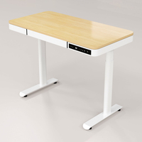 Bureau élévateur électrique ergonomique de luxe bureau multifonctionnel maison hôtel hôpital école simple double moteur bureau élévateur
