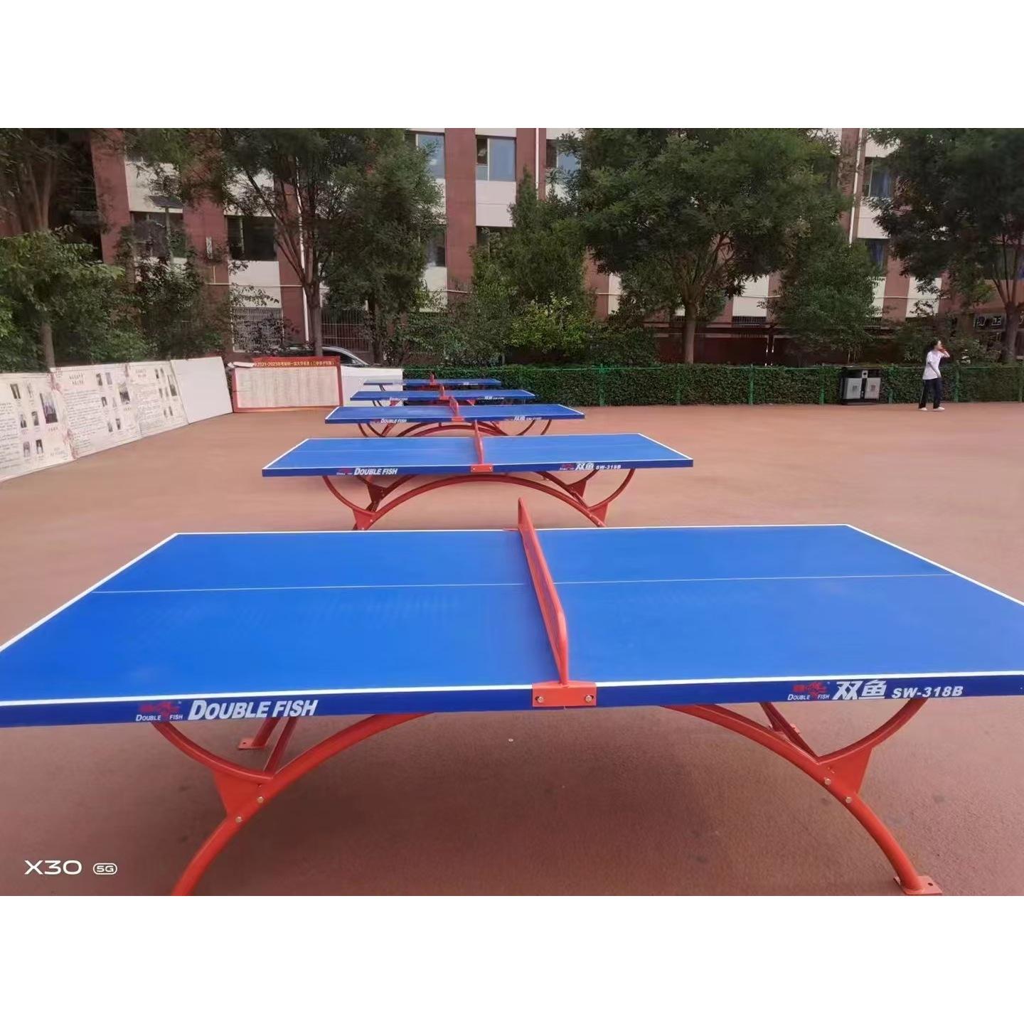 Table de billard d'extérieur Pisces 318B