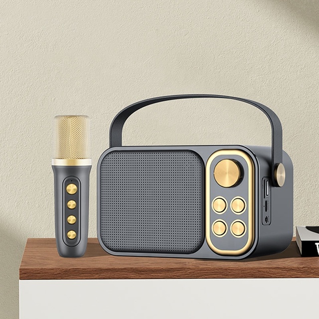 Karaoke Speaker with Mic and bluetooth Portable Speaker with Microphone Bass High Quality Loud Mini Wireless bluetooth Speakers
