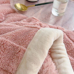 Couverture de Gros d'Hiver Rembourrée Épaisse, Plaid de Sieste pour Dortoir en Velours Corail, Couverture de Lit <span class=keywords><strong>et</strong></span> de Canapé - Product Image 3