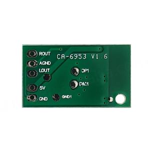 Module amplificateur CA-6953 Pure Version 5.0, carte amplificateur 5V, lecteur audio pour haut-parleur - Product Image 2