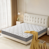 Matelas à ressorts Queen Firm Bonnell pour chambre d'hôtel Tissu matelassé respirant Conception anti-acariens Convertible pour appartement