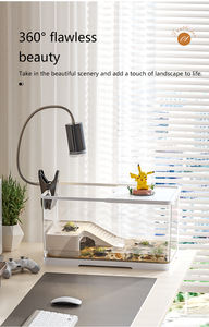 नई दृश्यों कछुए कछुए टैंक घर छोटे और मध्यम आकार के एक्वेरियम पारिस्थितिक मछली टैंक लिविंग रूम डेस्कटॉप ब्राजीलियन कछुए विशेष - Product Image 3