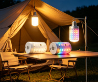 Bombilla LED E26 Desmontable y Recargable, con Cambio de Color RGB, Control Remoto, Temporizador, Base Magnética, Luz Nocturna para Decoración del Hogar