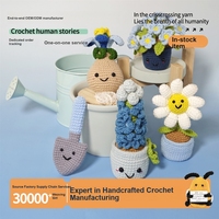 Boneka rajutan industri berat pabrik sumber, seri pot bunga warna-warni majalah luar negeri, kerajinan dekorasi rumah