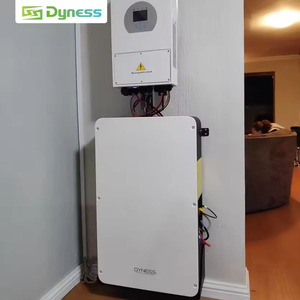 Dyness PowerBox Pro thông minh LiFePO4 200AH 51.2V powerwall 10kwh năng lượng lưu trữ pin Lithium Powerstation giá Lithium - Product Image 4