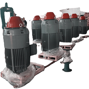 Motores de CA Trifásicos de Alto Voltaje TEFC VHS, 100KW, 200KW, 300KW, 400KW, 500KW, IP54, IP55, Motor de Eje Hueco Vertical con - Product Image 3