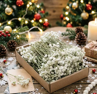 Bunga Kering Alami 50 Tangkai Mini Baby Breath Gypsophila Awet untuk Dekorasi Pernikahan, Corsage, dan Bahan Kartu Undangan