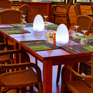 Minimalist RGB Color-<strong>changing</strong> LED Egg-shaped Dining <strong>Table</strong> Lamp Suitable for Home Restaurants and Hotel Atmospheres - Product Image 5
