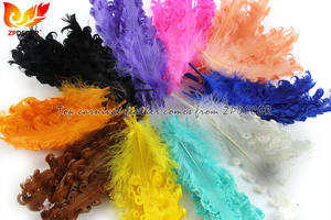 Zpdecoration-plumas de ganso de colores variados, satinadas para manualidades, colores variados, venta al por mayor - Product Image 2