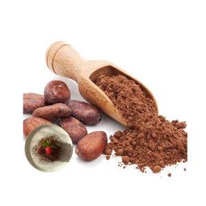 Fabriek Groothandel Gealkaliseerde Cacaoboter Natuurlijke Biologische Cacaopoeder Chocolade Non Gmo Cacaopoeder