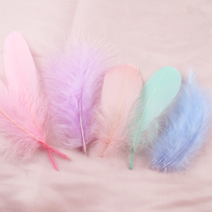Pluma de ganso teñida DIY, accesorios de decoración para el hogar, atrapasueños, pavo, Carnaval, 8-20CM, 300 Uds. - Product Image 6