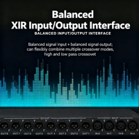 Procesador de Audio Digital 2x4 DSP Crossover con Control Automático de Ganancia 96kHz 24-bit para Sistema de Sonido de Teatro, Bar o Escenario, Metálico DAP-24 DAP-36