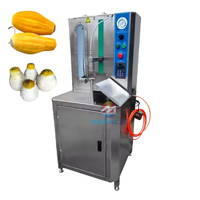 Machine automatique à éplucher les fruits à pain pastèque mangue éplucheur et trancheuse à la noix de coco verte