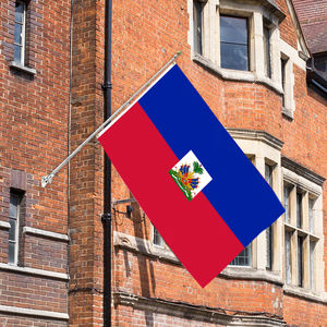 批发3x5ft英尺海地三角旗68D/100D聚酯可定制所有国家由可靠供应商快速交货 - Product Image 6