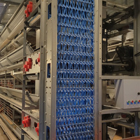 Cage à poules pondeuses automatique à 4 niveaux de type H, galvanisée à chaud, pour l'élevage avicole