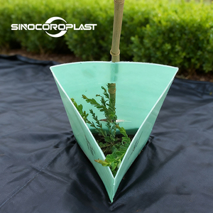 Protezioni per Alberi in Foglio PP Cavo Quadrato e Triangolare Personalizzate, Riutilizzabili, Protezioni per Piante in Coroplast, Avvolgimenti Anti-coniglio per Piantine - Product Image 6